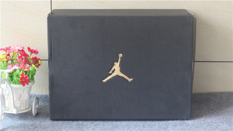 Authentic Air Jordan 17 XVII Copper 2016 Retro